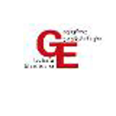 Avatar of General Electronic