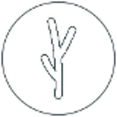 Avatar of Tabla Nova