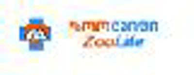 Avatar of ზოოლაიფი +