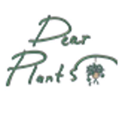 Avatar of Dear Plants